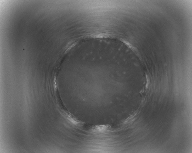 X0000066120479200603131333