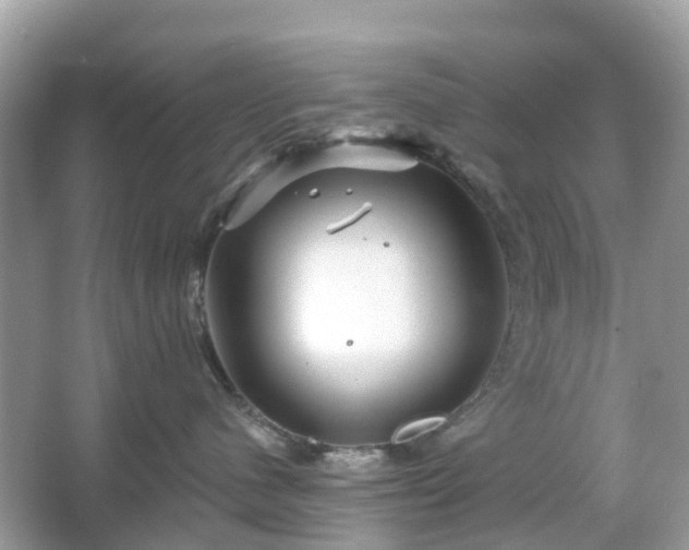 X0000066120480200603131333