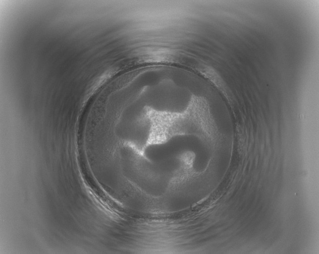 X0000066120482200603131332