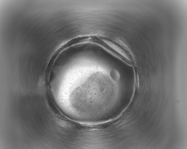 X0000066120483200603131332