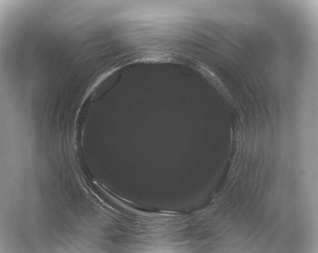 X0000066120484200603131332