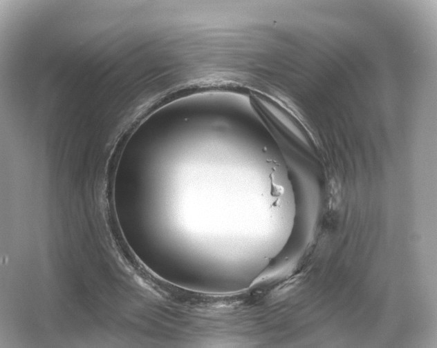 X0000066120485200603131332