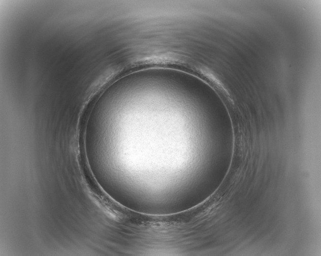 X0000066120486200603131332