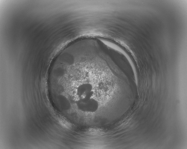 X0000066120487200603131332