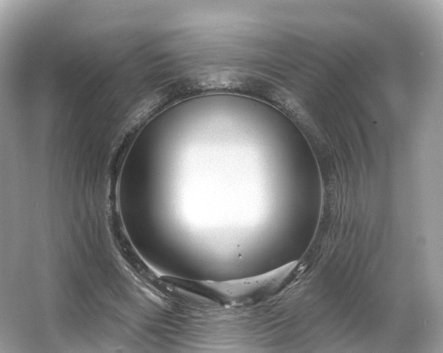 X0000066120490200603131332