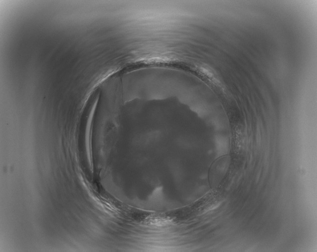 X0000066120491200603131332