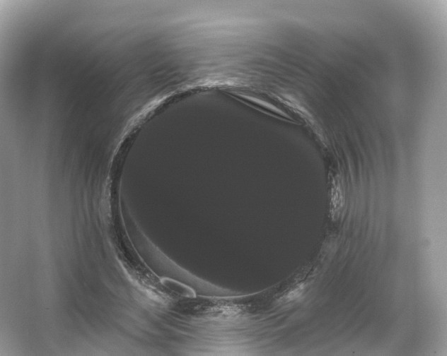 X0000066120492200603131332