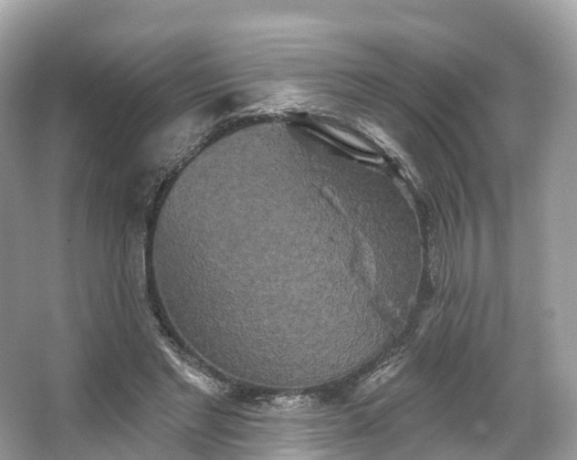 X0000066120493200603131332