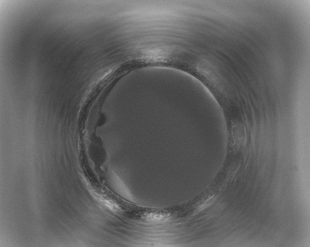 X0000066120494200603131332