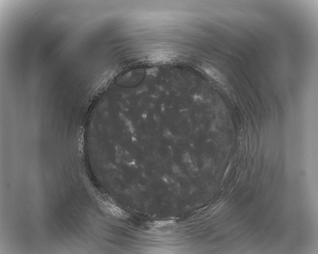 X0000066120495200603131332