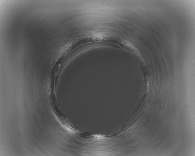 X0000066120496200603131332