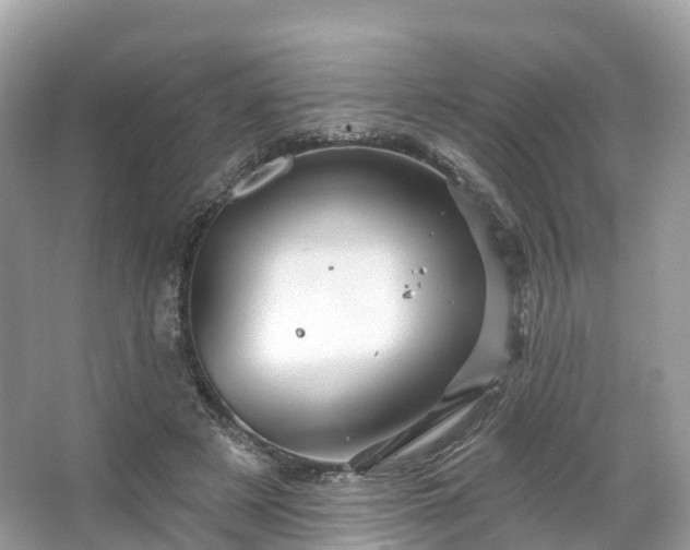 X0000066120497200603131332