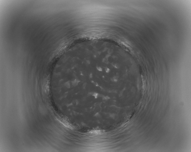 X0000066120499200603131332