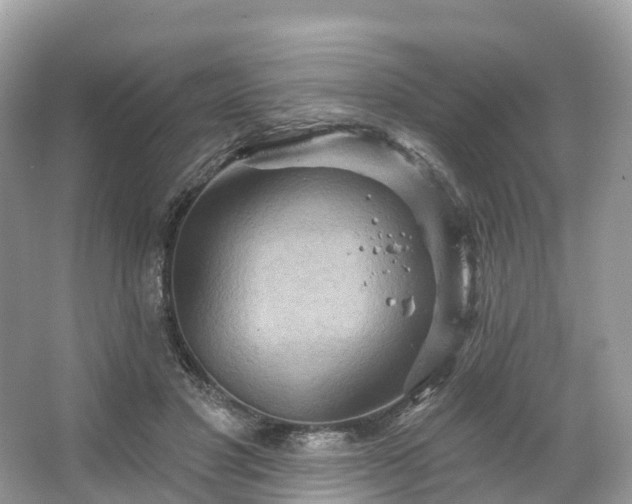 X0000066120501200603131332