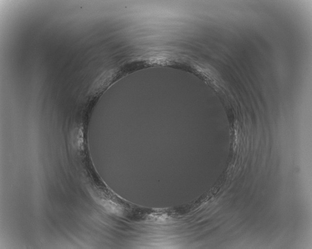 X0000066120502200603131332