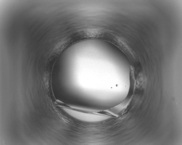 X0000066120505200603131332