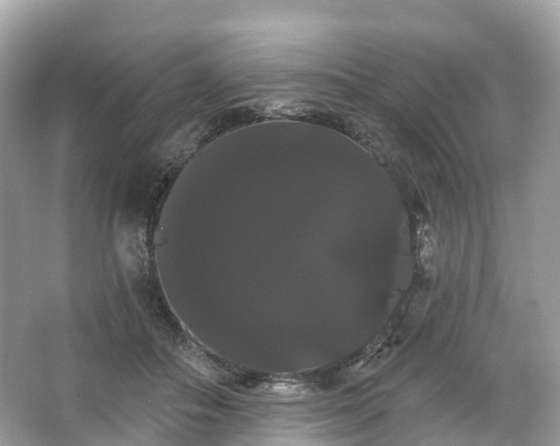 X0000066120506200603131332