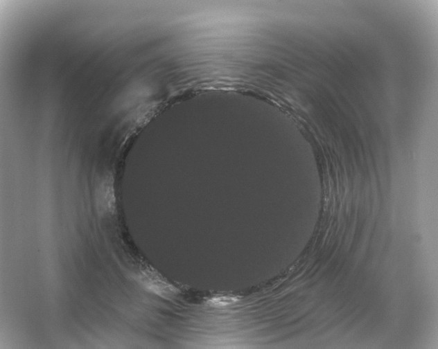 X0000066120508200603131332