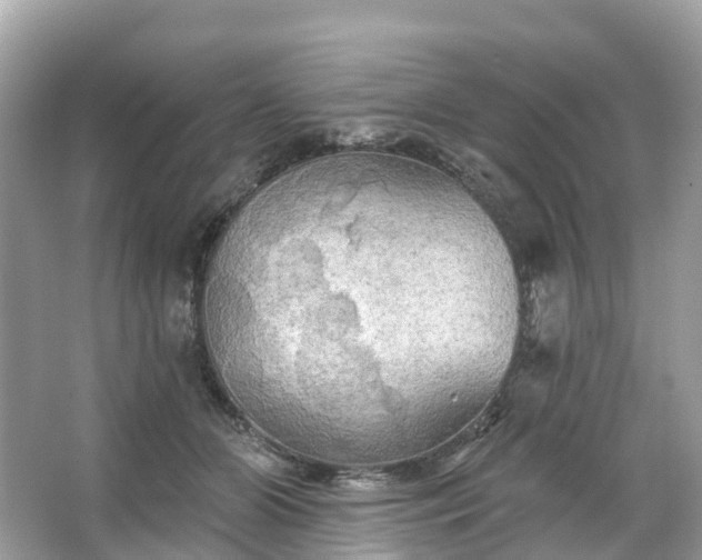 X0000066120510200603131332