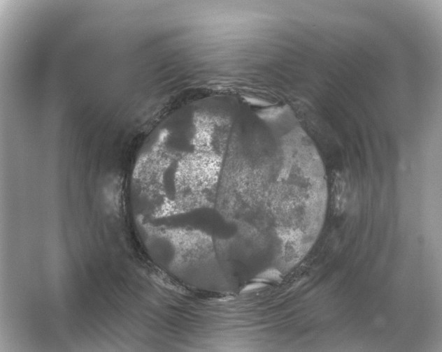 X0000066120511200603131331