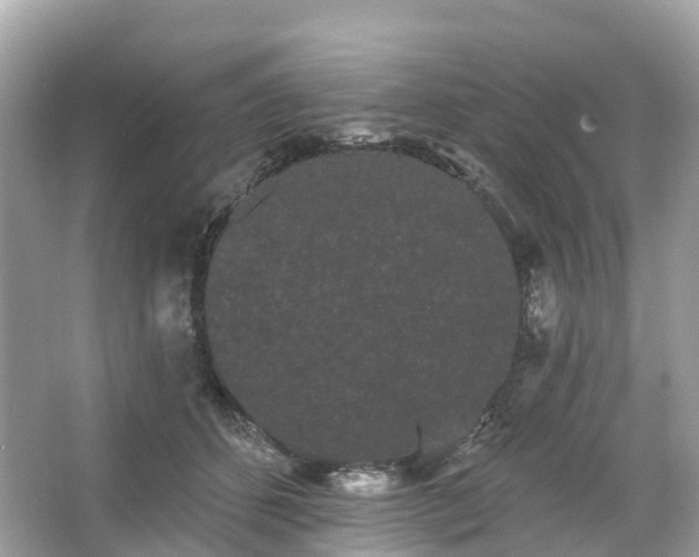 X0000066120512200603131331