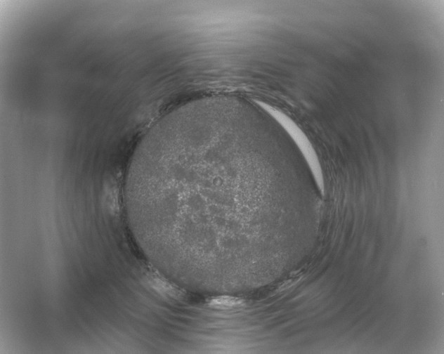 X0000066120515200603131331