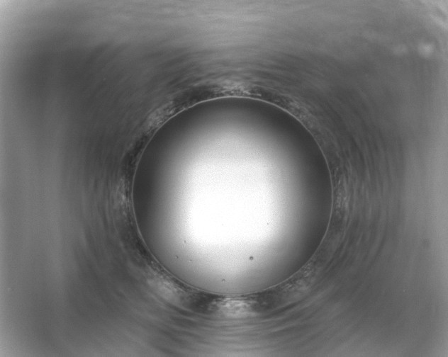 X0000066120518200603131331