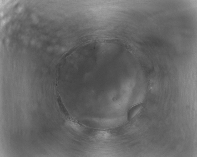 X0000066120519200603131331