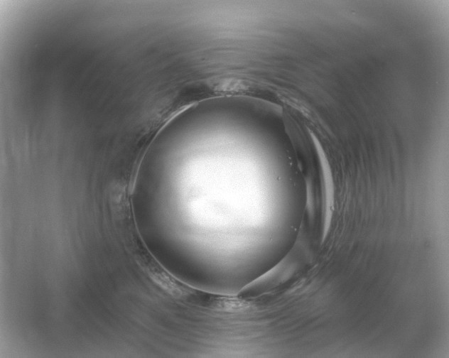 X0000066120521200603131331