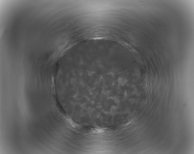 X0000066120523200603131331