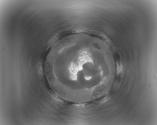 X0000066120524200603131331