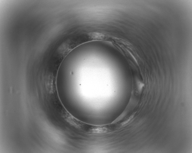 X0000066120525200603131331