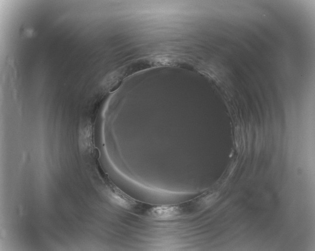 X0000066120526200603131331