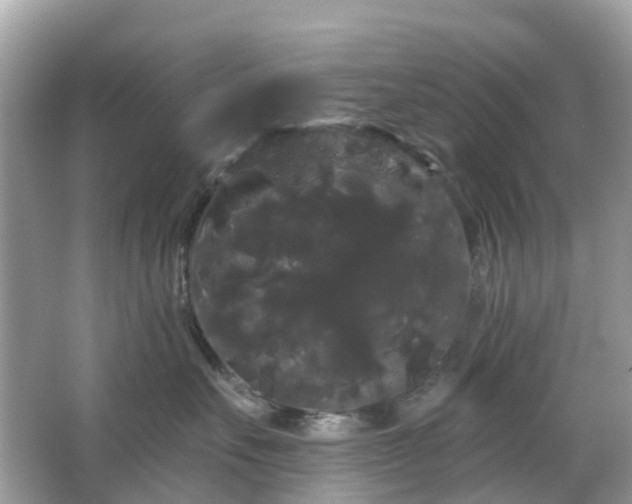 X0000066120527200603131331