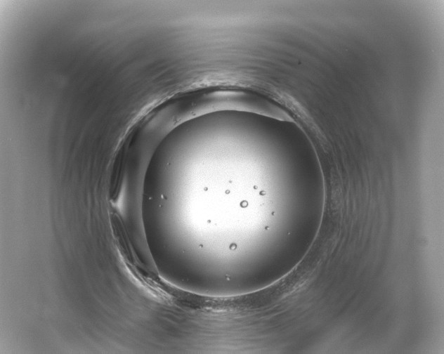 X0000066120530200603131330