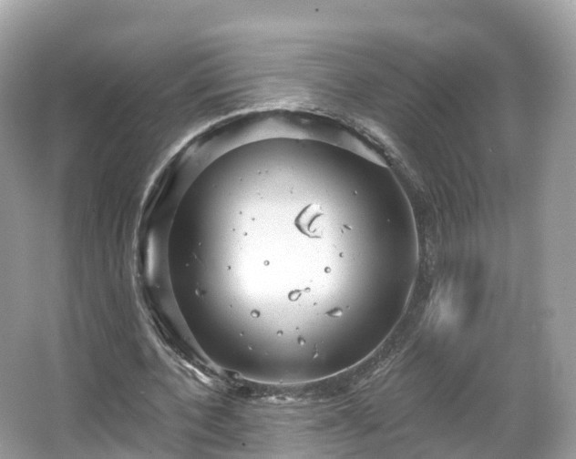 X0000066120532200603131330