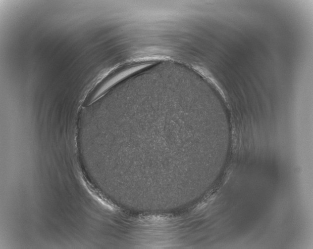 X0000066120533200603131330