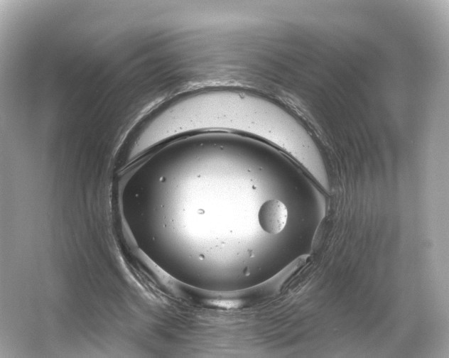 X0000066120534200603131330