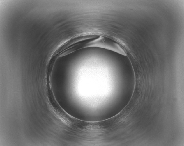 X0000066120535200603131330