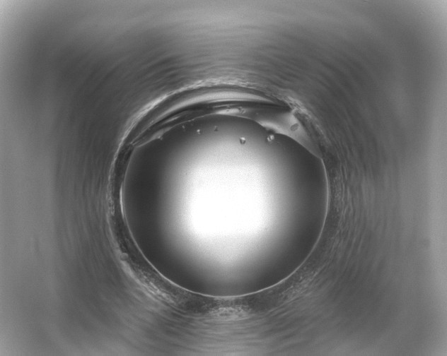 X0000066120536200603131331