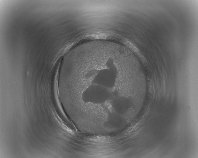 X0000066120537200603131331