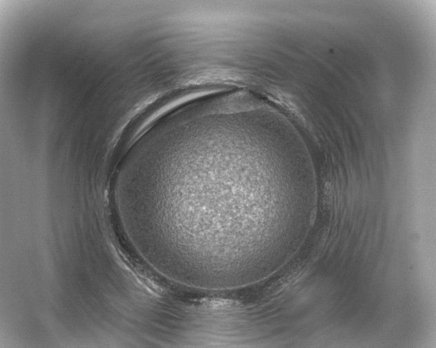 X0000066120539200603131331