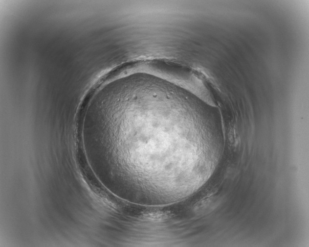 X0000066120540200603131331