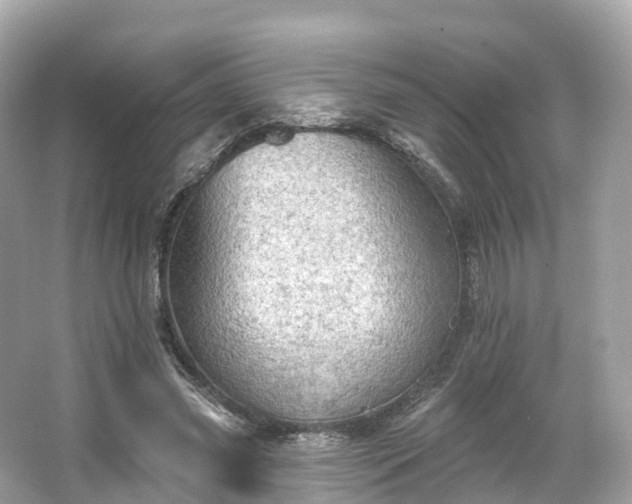 X0000066120541200603131331