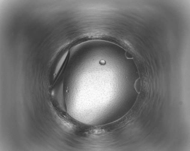 X0000066120543200603131331