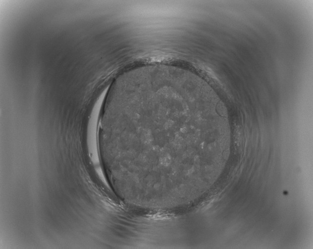 X0000066120545200603131331