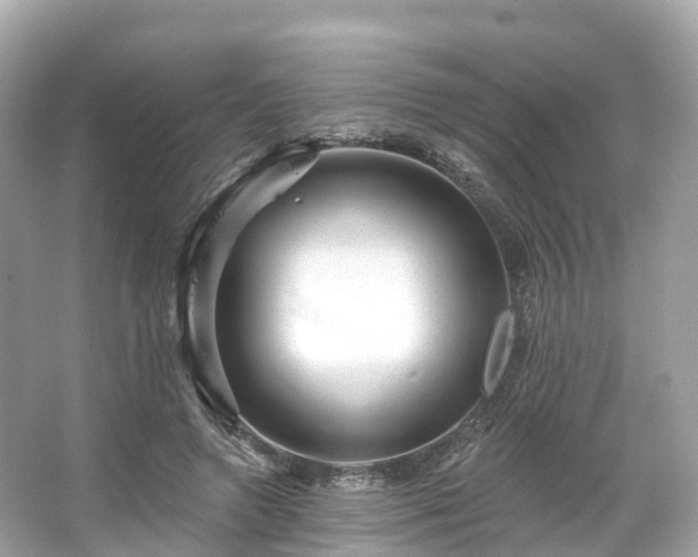 X0000066120546200603131331