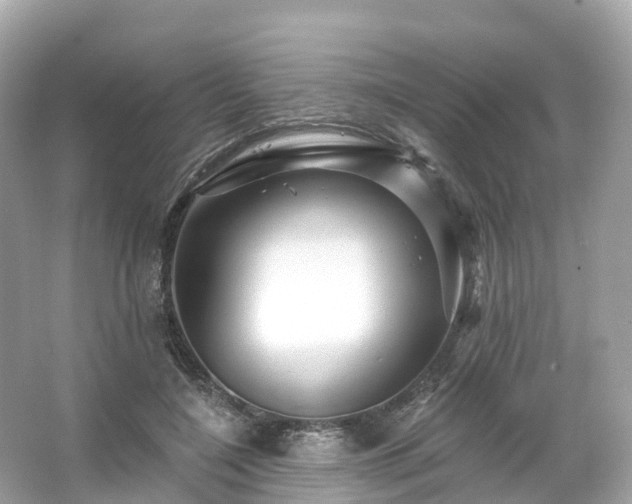 X0000066120548200603131331