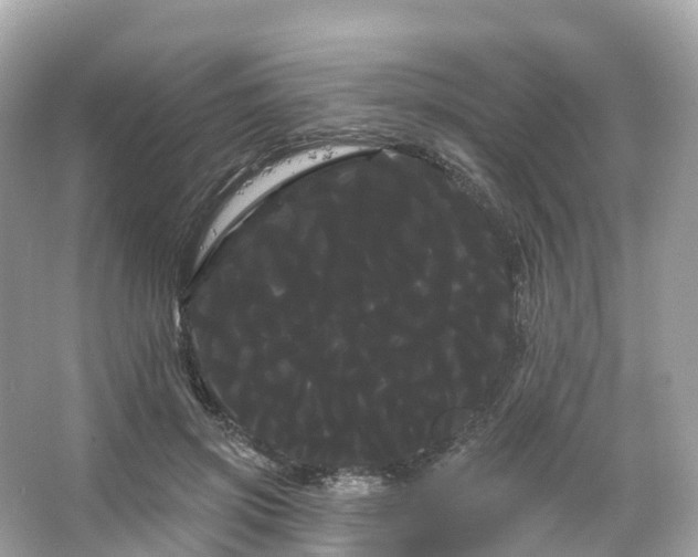 X0000066120549200603131331