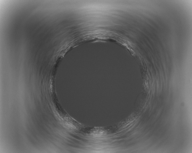 X0000066120551200603131331